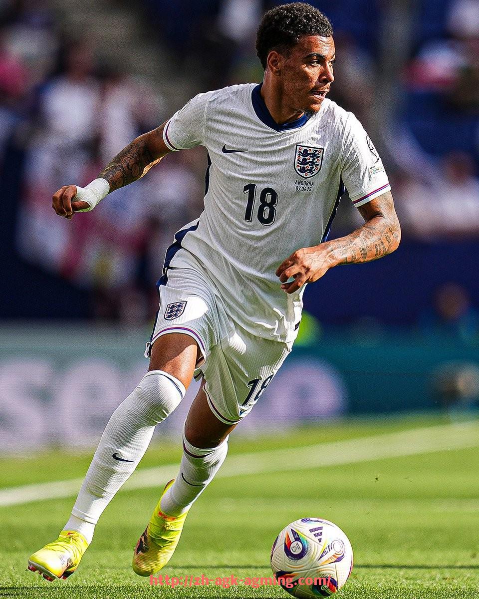 AG娱乐登录-西甲联赛巴列卡诺球队介绍