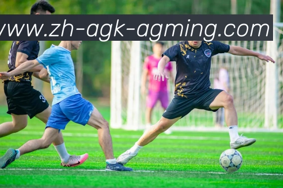 AG娱乐登录APP 封面图