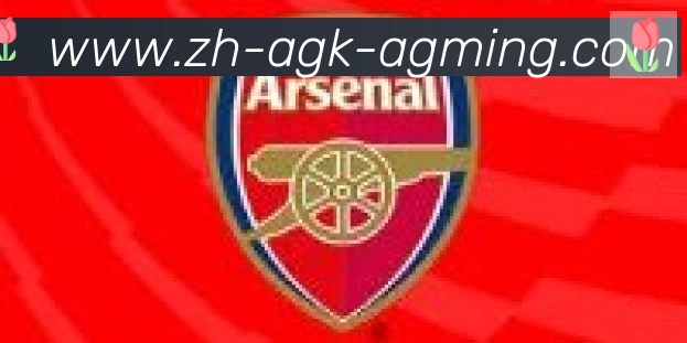 AG娱乐登录合作伙伴