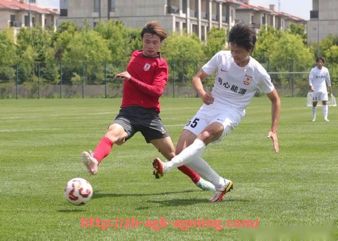 AG娱乐登录-07 08赛季西甲联赛：2007-2008赛季西甲联赛的亮点与赛季总结