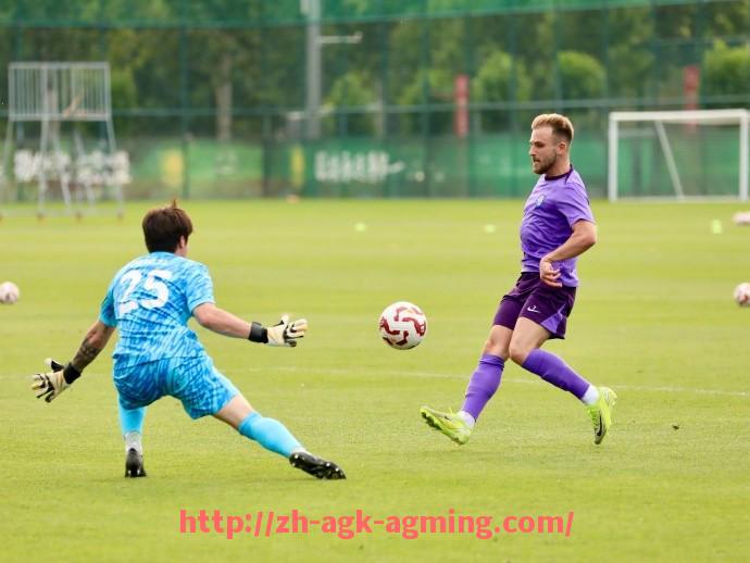 AG娱乐登录-各意甲俱乐部球迷数量与活跃度对比分析