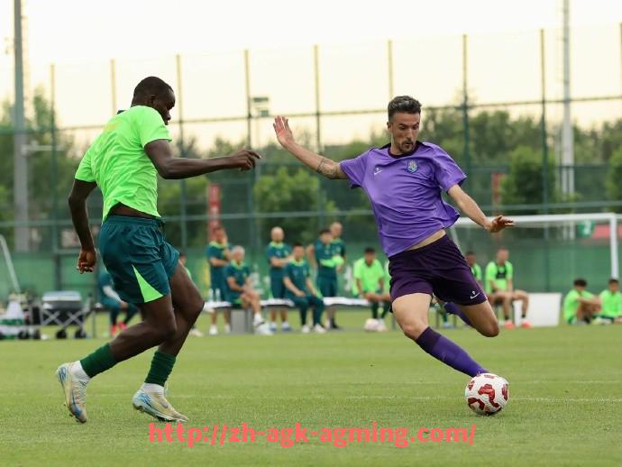 AG娱乐登录-2014赛季火箭队球员年薪排行榜与财务分析